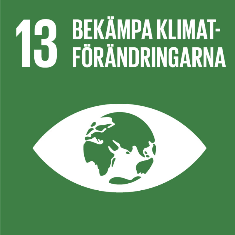 FN:s globala hållbarhetsmål - 13- bekämpa klimatförändringarna.