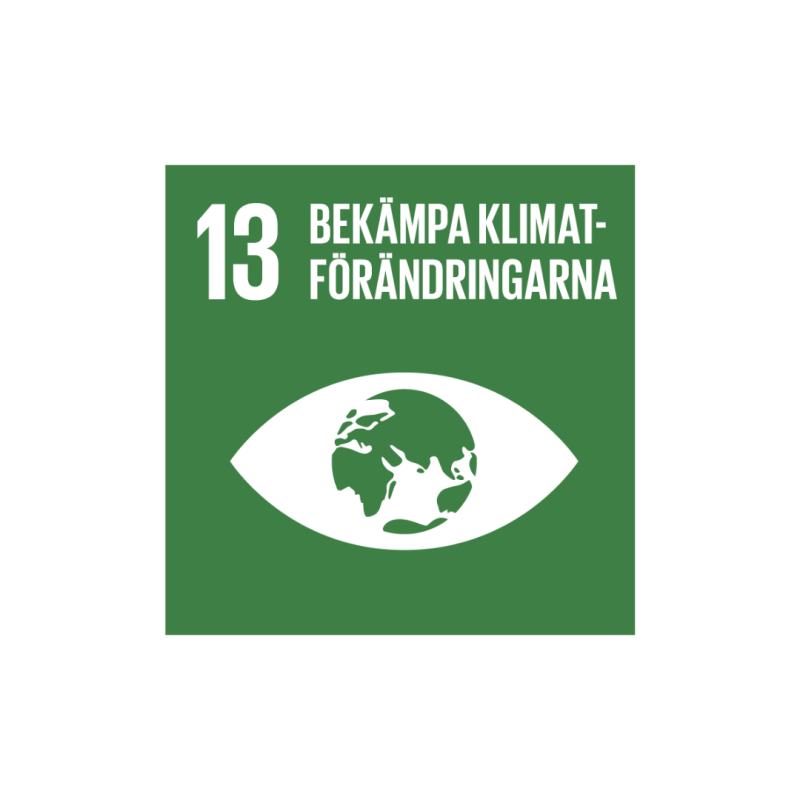 Globala mål 13.