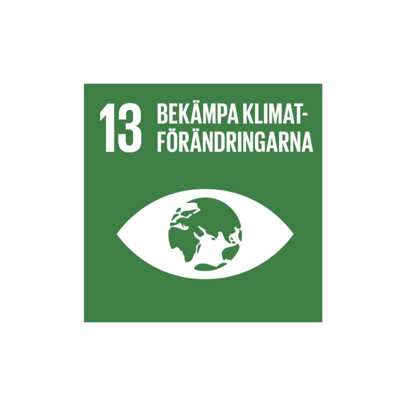 Globala mål 13.